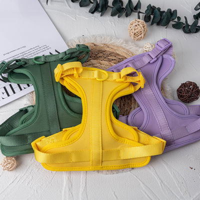 Neoprene ตัวเองสุนัขเลี้ยงสุนัขสายล่อและคอชุดสําหรับปรับ Fit S / M / L