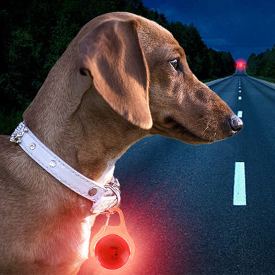 สีขาว สีฟ้า สีเขียว ซิลิโคน แสงสว่าง คอสุนัข แท็ก ดอกไม้ แท็กความเป็นตัวของสุนัข