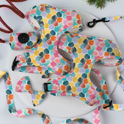 XS S M L XL สายรัดลูกสุนัขและสายเชือก Air Mesh Soft Neoprene Collar And Lead Set